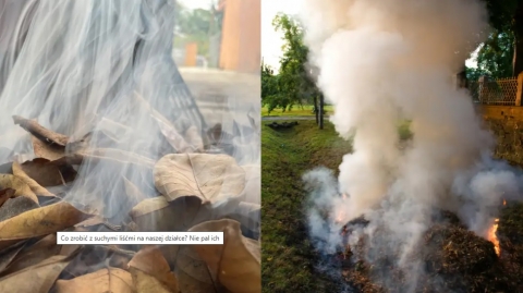 palenie liści i wypalanie traw