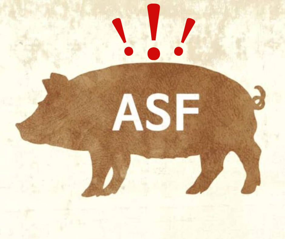 asf