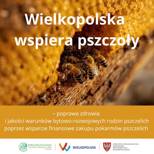 pszczoły
