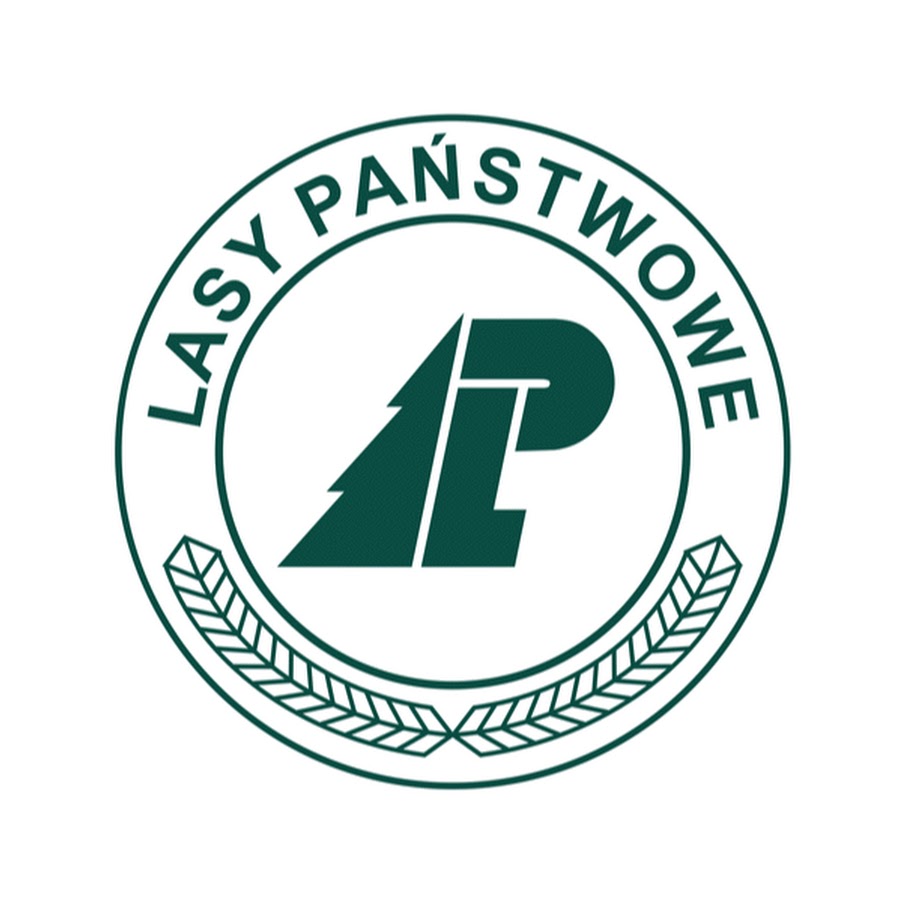 logo lasy państwowe