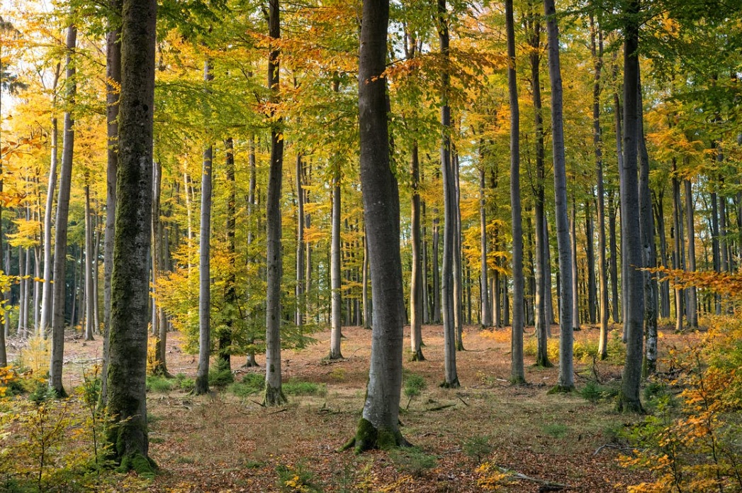 baner środowisko